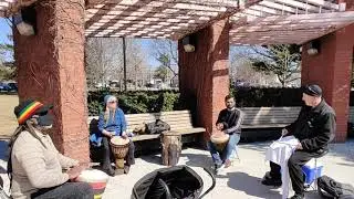 Reggae Rhythm on Djembe |  Drumming in Toronto | March 2021