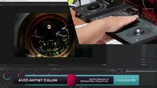 AVID Artist Color and DaVinci Resolve 12 under OS X El Capitan.
