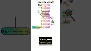 What is a Scientific Method? 9 Steps in Scientific Method