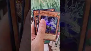 Ash Blossom & Joyous Spring | Mega-Pack 2022 Opening 3