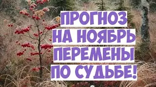 ПРОГНОЗ 🍂❄️ НА НОЯБРЬ работа, личная жизнь, финансы, сюрпризы 