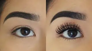 How To Make Your Eyelashes Appear Longer | Tips & Tricks