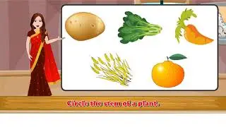 8 WHAT WE GET FROM PLANTS 1