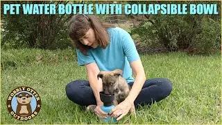 Review: Pet Water Bottle with Built-In Collapsible Bowl
