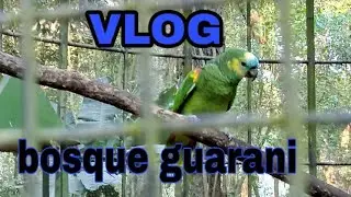 Vlog no BOSQUE GUARANI !!
