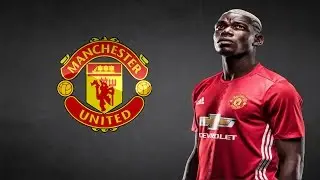 Paul Pogba - Most INSANE Goals Ever | HD