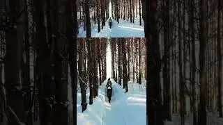 МО РГО Калтасинский район