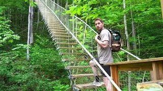 We Found A Treehouse Airbnb