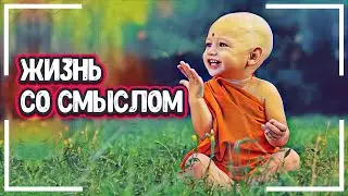ИНСТРУКЦИЯ К ЖИЗНИ - Суть Жизни Человека  (жизнь суть смысл)