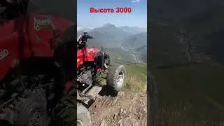 #3000