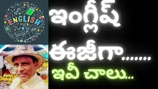 daily use sentences English to Telugu