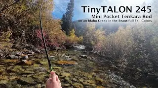 TinyTALON 245 in the Beautiful Fall Colors of an Idaho Creek