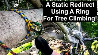 Static REDIRECT Using An ANCHOR RING for Arborists & Tree Climbers!