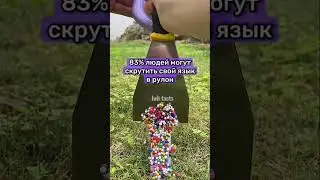 Факты, которые повергнут тебя в шок 