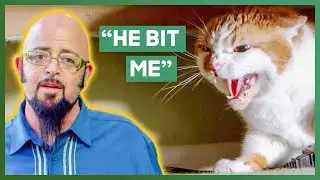 Jackson Is Attacked By A Ferocious Cat Terrorizing Its Owner's Friends | My Cat From Hell