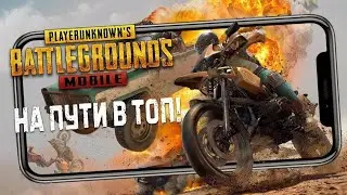 Лайтовые катки с Чарли///Путь к Ас-мастеру ;)