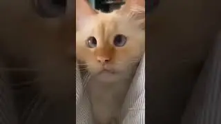 Я не грустный — я трезвый:((