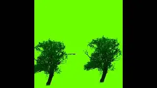 Green screen Tree Bard Effects Raning HD 