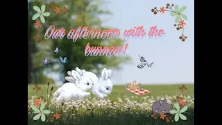 Or afternoon with the bunnies!! :)