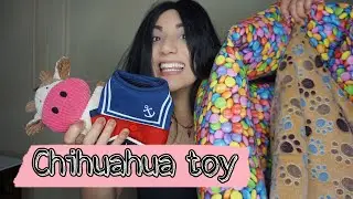 TUTTI GLI ACCESSORI PER IL MIO CHIHUAHUA TOY