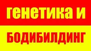 ГЕНЕТИЧЕСКИЙ ПОТЕНЦИАЛ В БОДИБИЛДИНГЕ - ГЕНЕТИКА И БОДИБИЛДИНГ