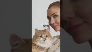 Cat Logic Collection #catshorts #catvideos  #funnycats