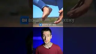 Смертельный гвоздь😳 #егэ #биология #факты #огэ #наука #школа