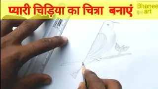 How To Draw A Bird For kids।🔥 पंछी का चित्र बनाए ।🔥 Bird Drawing easy Steps। चिड़िया का चित्र।