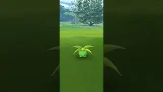 Shiny Oddish! Pokémon Go!