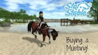 [SSO] - Buying a Mustang!
