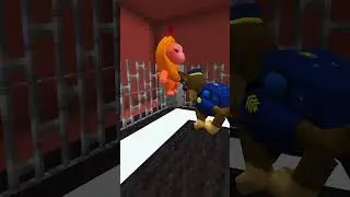 PAW PATROL vs. BANANA CAT! WHO WILL WIN 