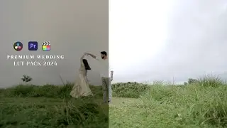 Create Beautiful Wedding Videos with Minimal Wedding LUTs | Davinci | FCP | Premiere | L2P_2024
