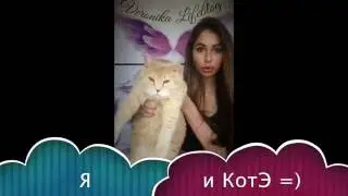 Нужно ли завтракать? Диеты. Кащи Вероника