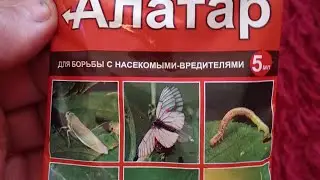 Алатар. Опрыскивание распылителем Finland (Fiskars).