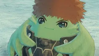 A Brief, Common Variety Video