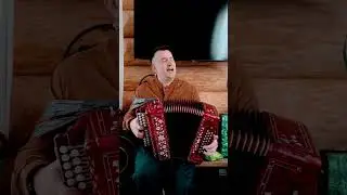 Матушка-земля #гармонь