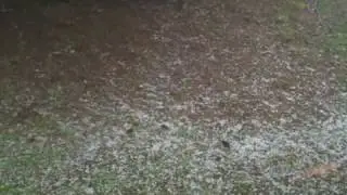 Hail at Penland School