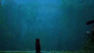 Stray Full OST | Rain Ambience Mix | Sleep, Study, Relax
