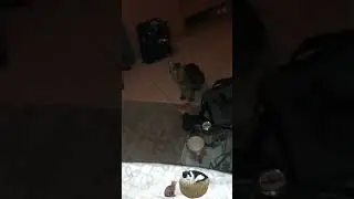 #Масюпень изголодалась... :-)