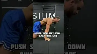 PLANCHE Technique. Learn in right way 