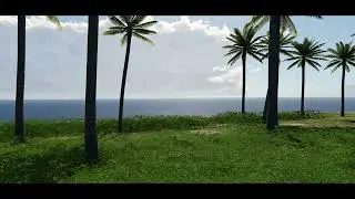 Planting grass like a 3D tree in X-Plane 12 - 1.0.3