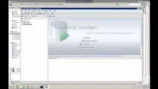 SQL Consulting | How to Connect SQL Developer to Oracle Database | ReportingGuru