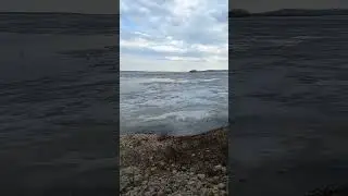 чайки на льдинах #рыбалка #прогресс #волга