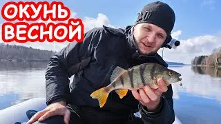 КАК ЛОВИТЬ ОКУНЯ ВЕСНОЙ. ПРИМАНКИ НА ОКУНЯ