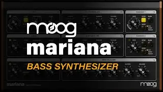 mariana Moog, more than a bass synthesizer ❤️