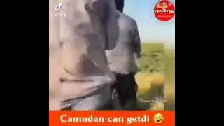 Çooox gülməli video