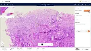PRAID AI Annotation Portal