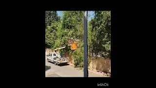 УБОРКА НЕНУЖНЫХ ВЕТОК НА РАЙОНЕ🫡 