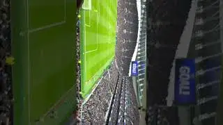 Tottenham fans cheering after 3rd goal goes in. #tottenhamhotspur #subscribe #viral #glory #trending