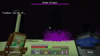 Beating the Ender Dragon